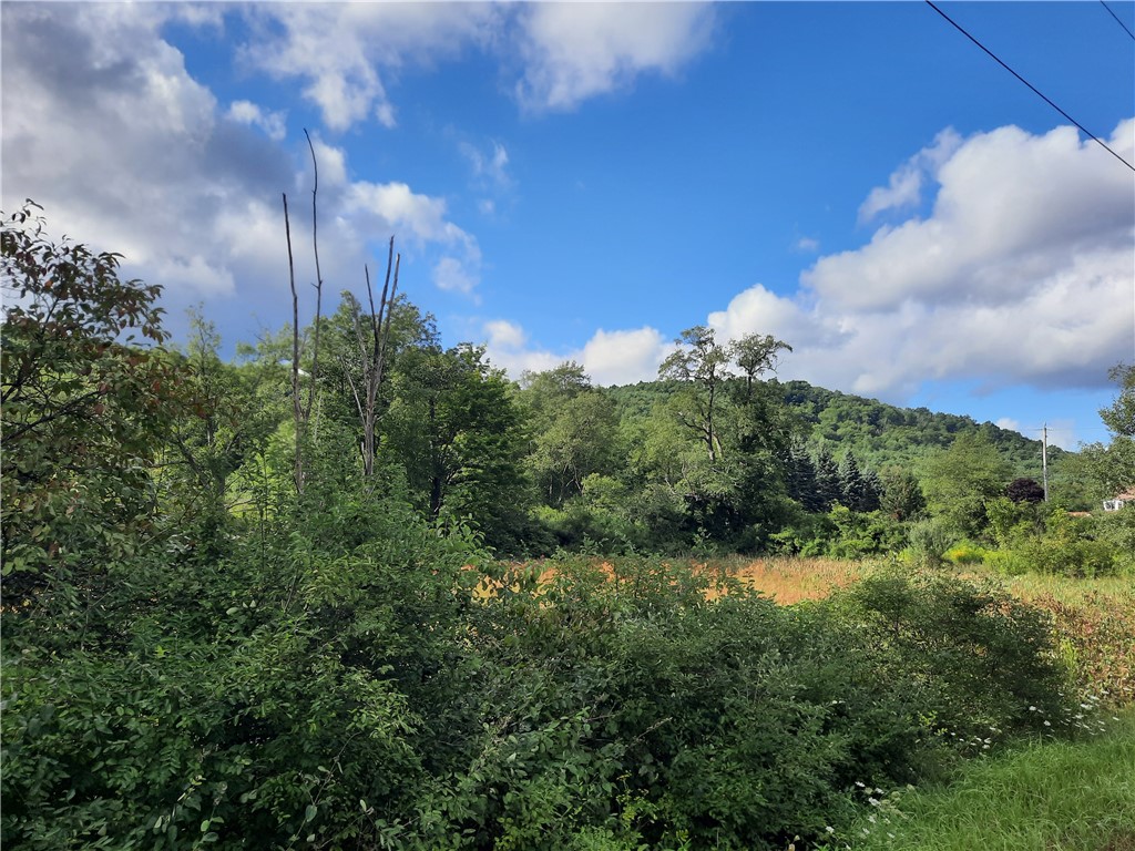 41 County Route Roxbury, NY 12474 - Photo 10 of 49