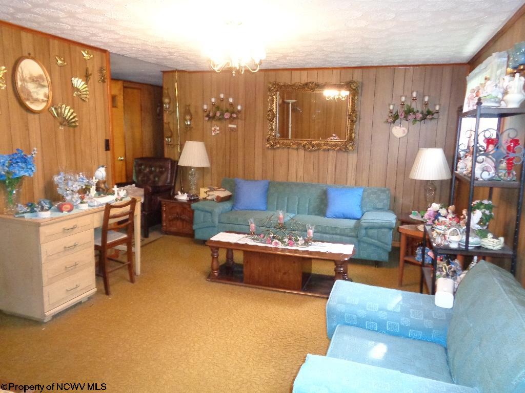 383 Parcoal Road Webster Springs, WV 26288 - Photo 2 of 20 Gallery Image 2