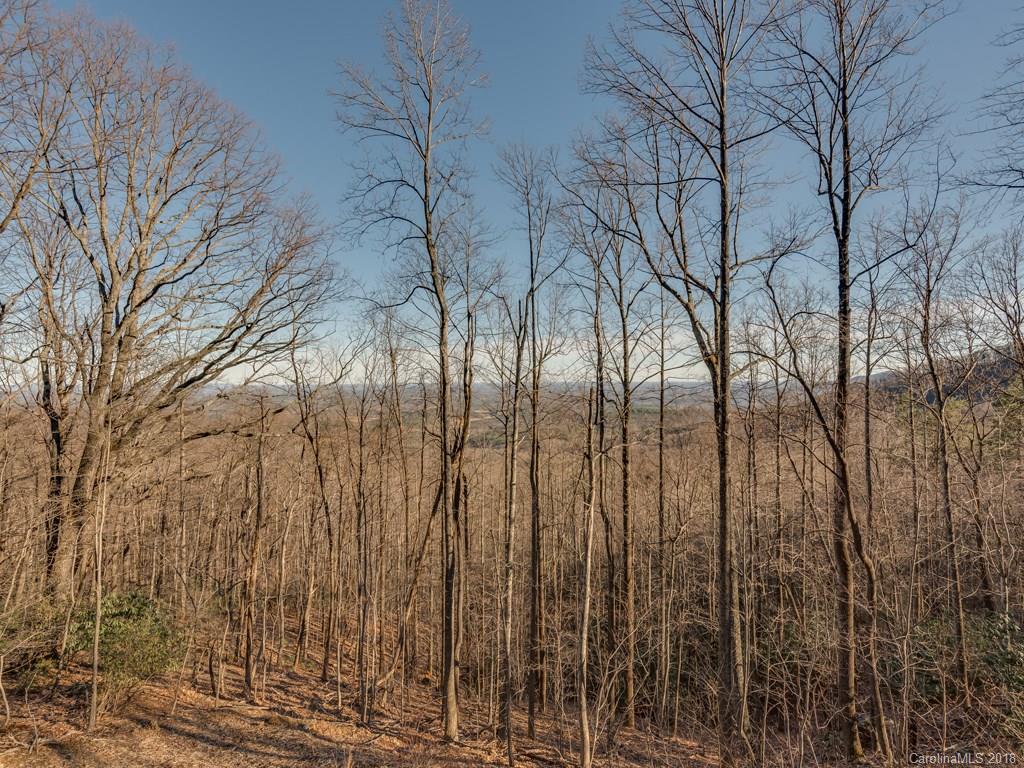 2189 Judes Gap Road Mill Spring, NC 28756 - Photo 6 of 22 a view of a yard with lots of trees