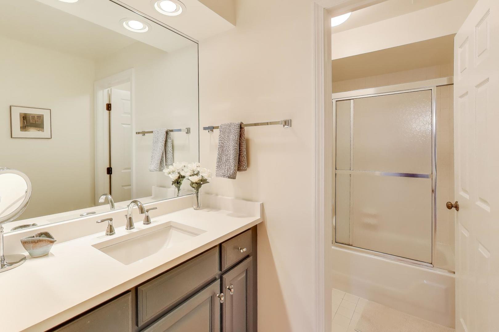 2020 Chestnut Avenue, Unit 312 Glenview, IL 60025 - Photo 17 of 34 a bathroom with a sink and a mirror
