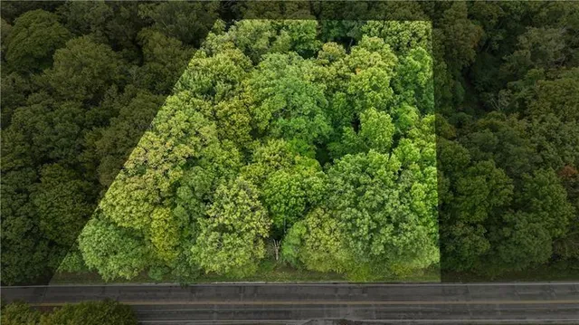 a view of a yard and an entryway