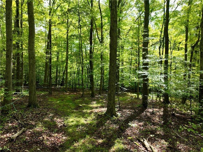 0 Trent Road Rockwood, PA 15557 - Photo 5 of 8 a view of outdoor space and trees