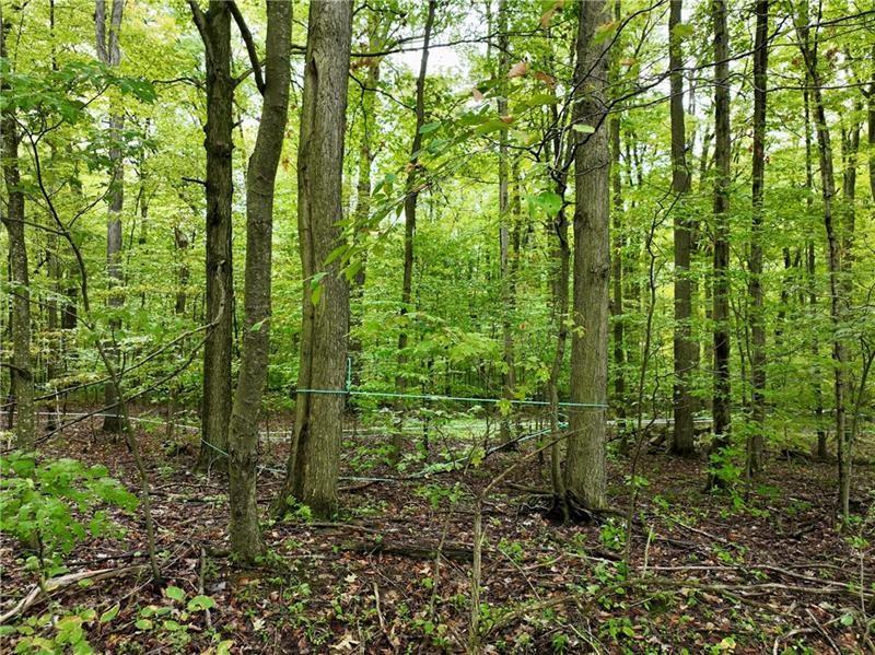 0 Trent Road Rockwood, PA 15557 - Photo 6 of 8 a view of outdoor space and garden