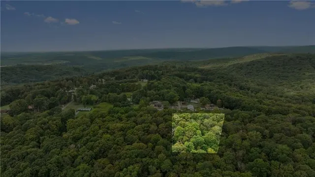 a view of a green field with lots of green space