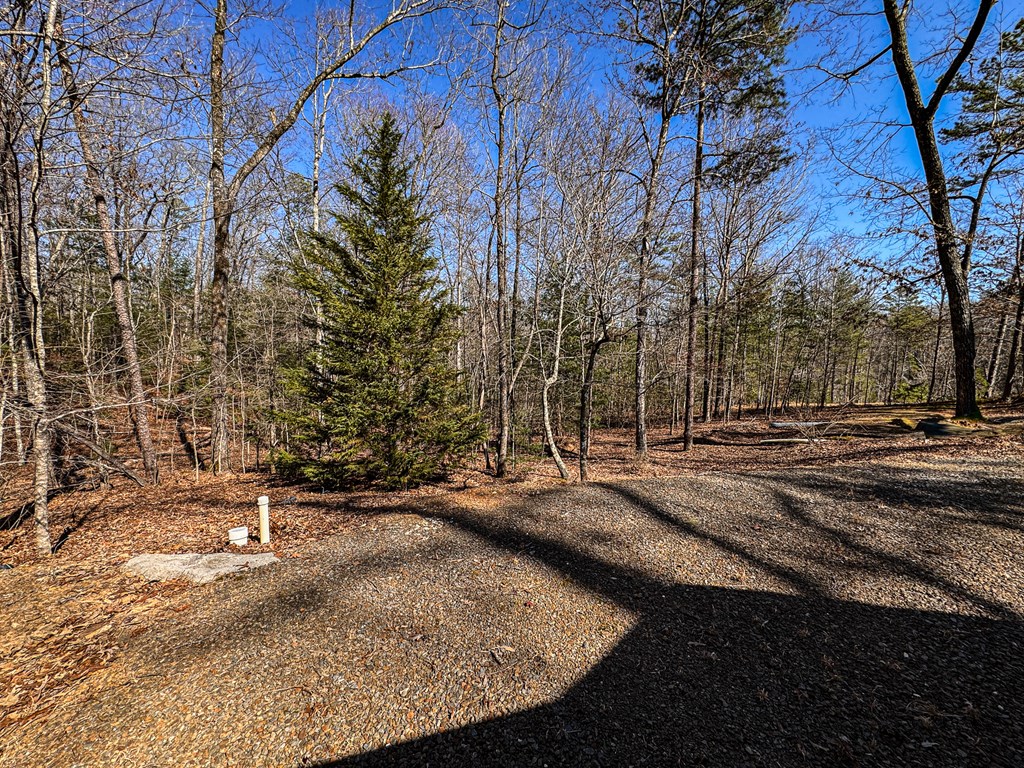 23 Blackhawk Circle Murphy, NC 28906 - Photo 3 of 12