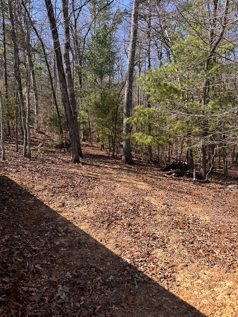 23 Blackhawk Circle Murphy, NC 28906 - Photo 9 of 12