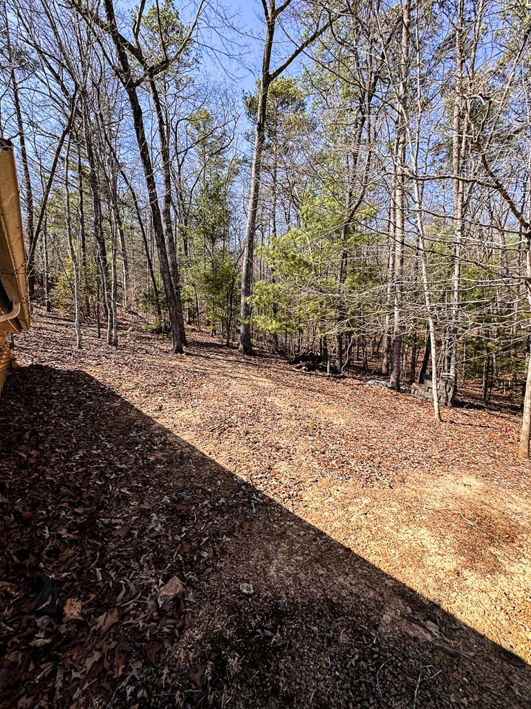 23 Blackhawk Circle Murphy, NC 28906 - Photo 10 of 12