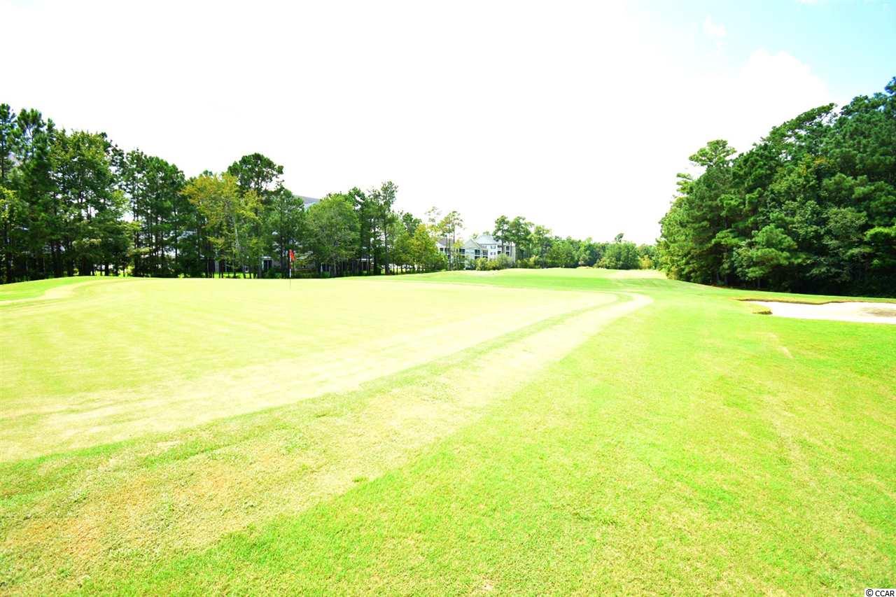 780 Pickering Drive, Unit 105 Murrells Inlet, SC 29576 - Photo 38 of 38 Gallery Image 38