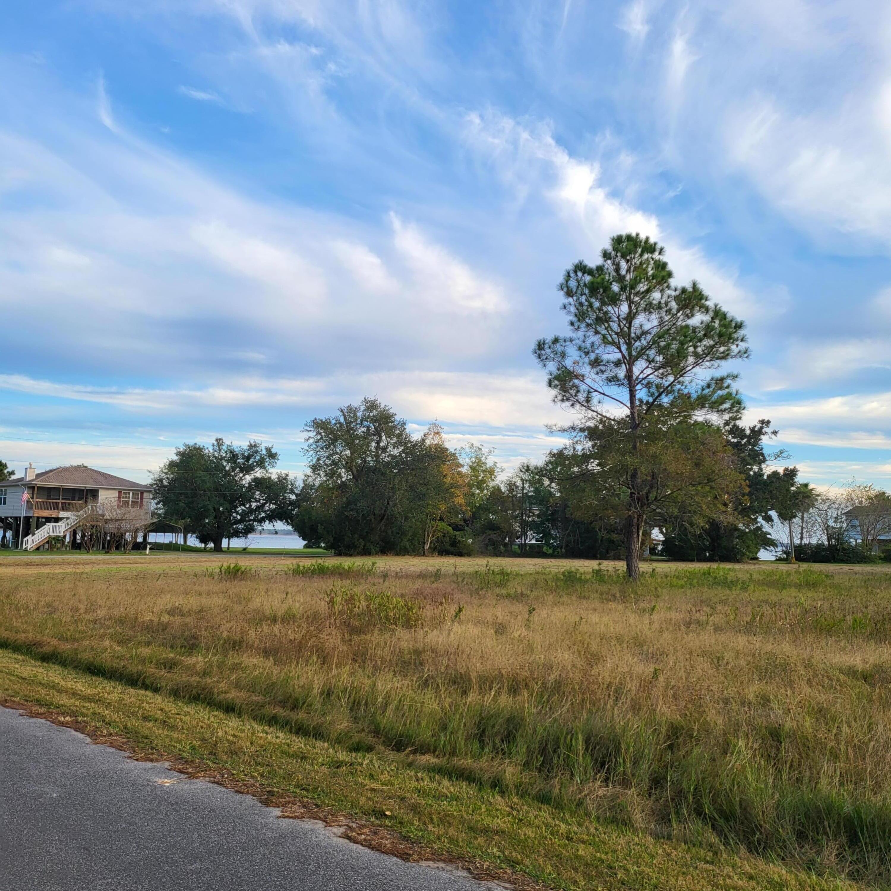 a view of a yard with a large trees