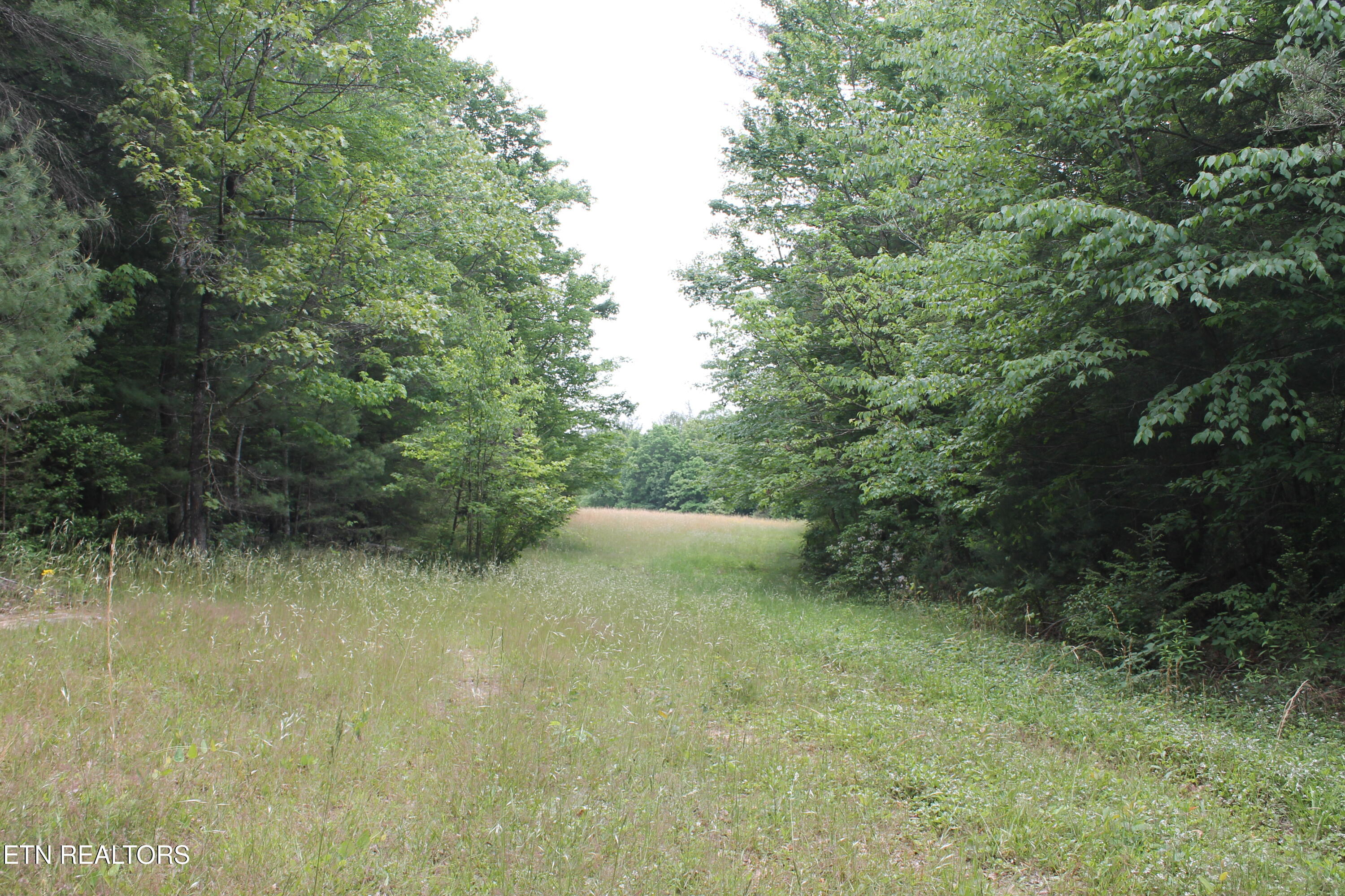 232 Wright Cemetery Road Allardt, TN 38504 - Photo 31 of 39 IMG_8074