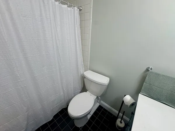 a white toilet sitting next to a shower curtain