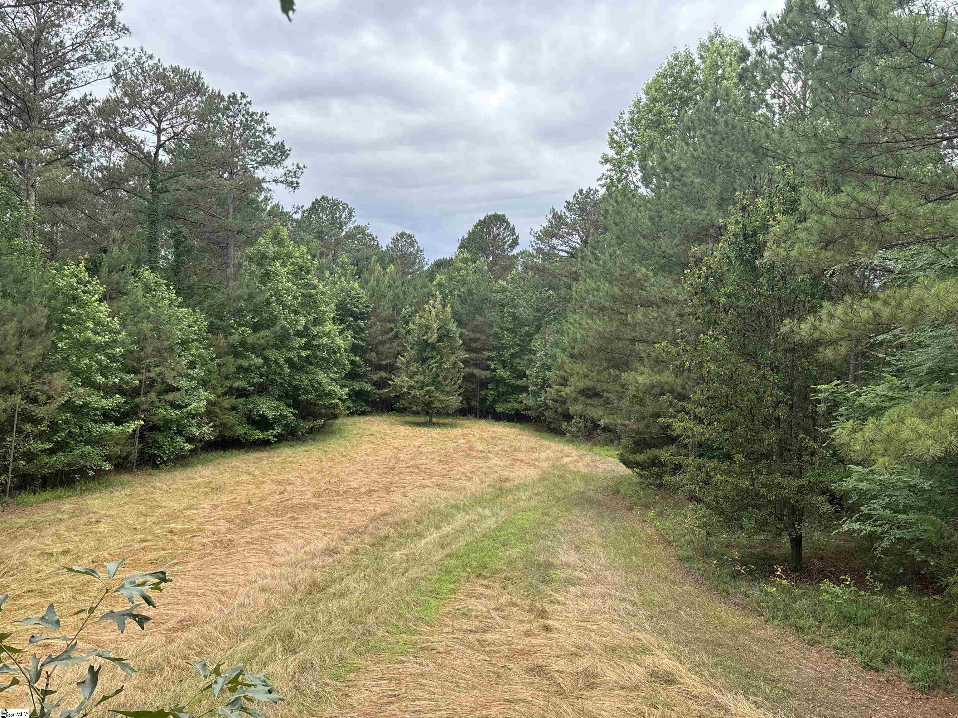 1087 Bobby Faucette Road Jonesville, SC 29353 - Photo 2 of 47