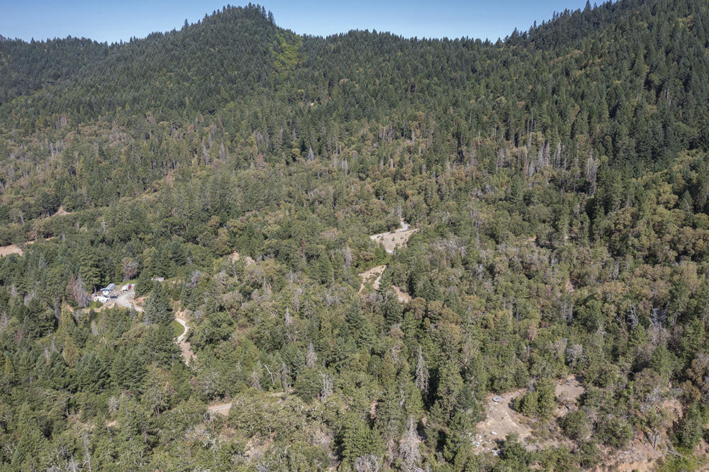 780 Hitching Post Road Grants Pass, OR 97526 - Photo 5 of 21 a view of a forest with top of house