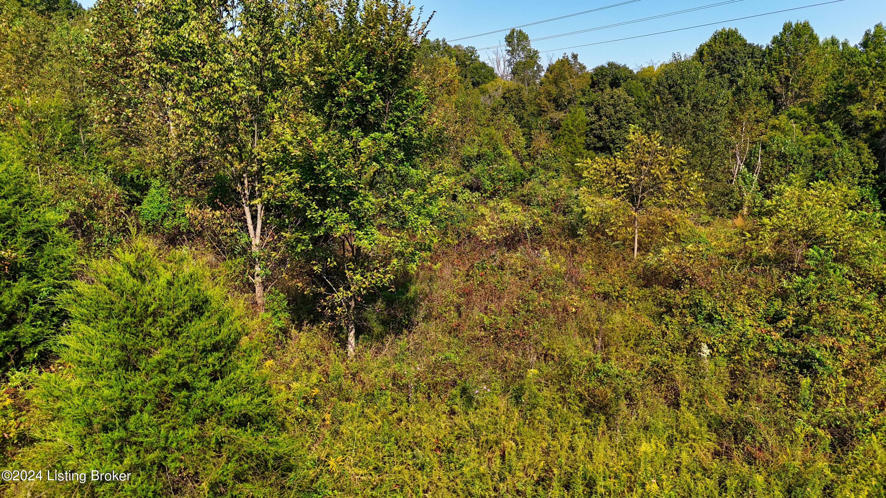 Lot 5 Horn Road Cecilia, KY 42724 - Photo 24 of 28 Horn Rd 49