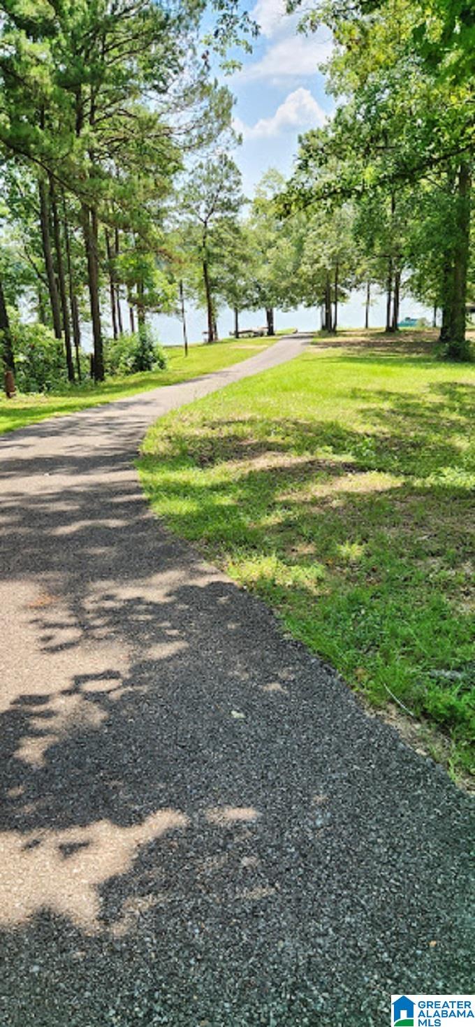 290 Tomahawk Trail Riverside, AL 35135 - Photo 68 of 82 Gallery Image 68