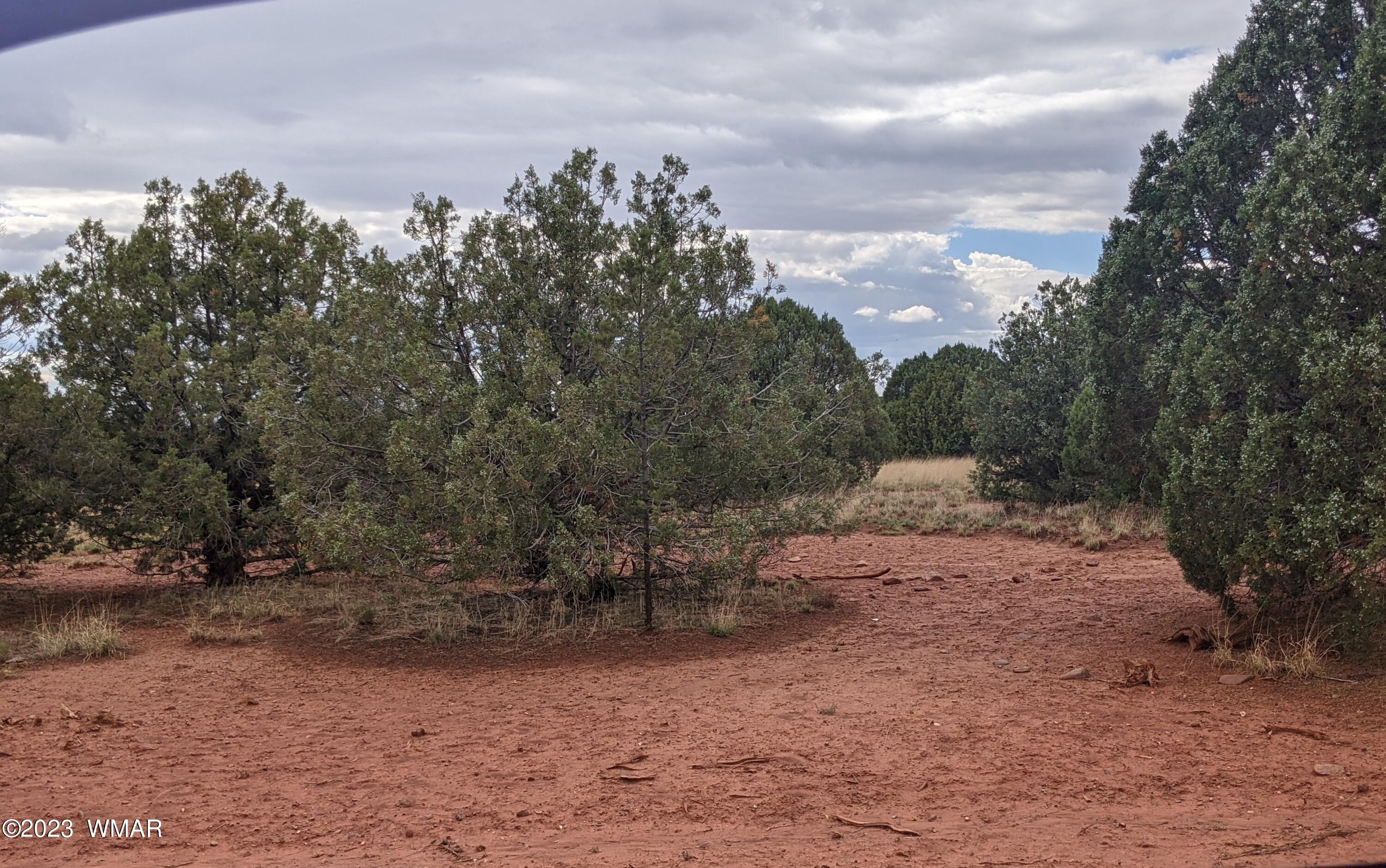 141 & 142 Show Low Pines Show Low, AZ 85901 - Photo 2 of 3 a view of backyard with outdoor space