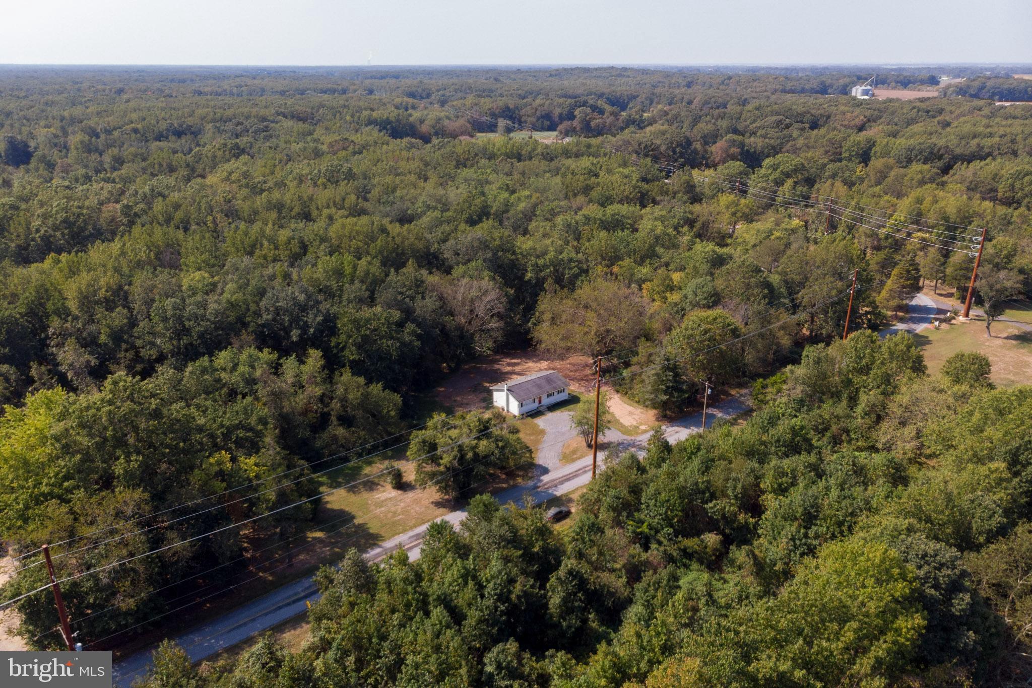 312 Fenwick Road Pilesgrove, NJ 08098 - Photo 33 of 40 a view of a forest with a street