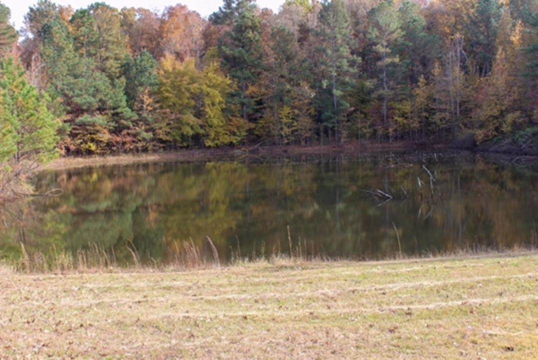 1440 Unity Church Road Ramer, TN 38367 - Photo 4 of 7 a view of ocean view