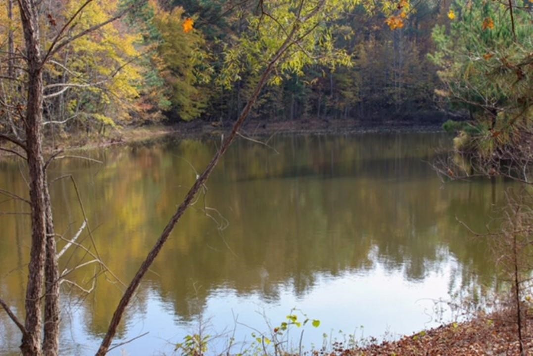 1440 Unity Church Road Ramer, TN 38367 - Photo 6 of 7 a view of lake