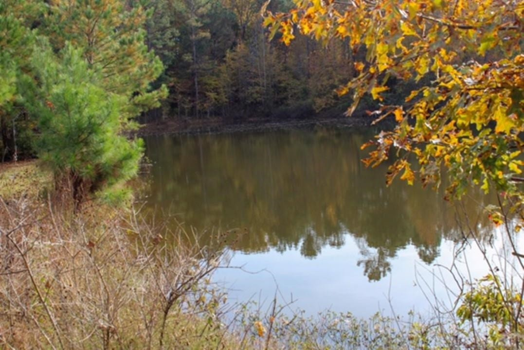 1440 Unity Church Road Ramer, TN 38367 - Photo 7 of 7 a view of lake