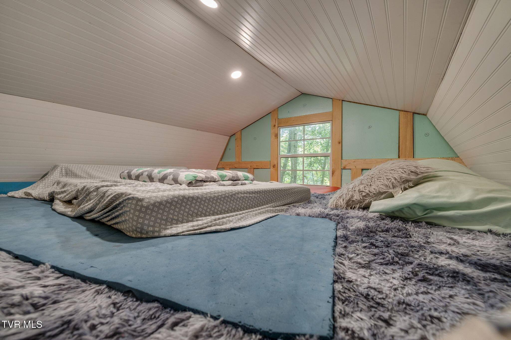 2588 West Carters Valley Road Surgoinsville, TN 37873 - Photo 47 of 57 045