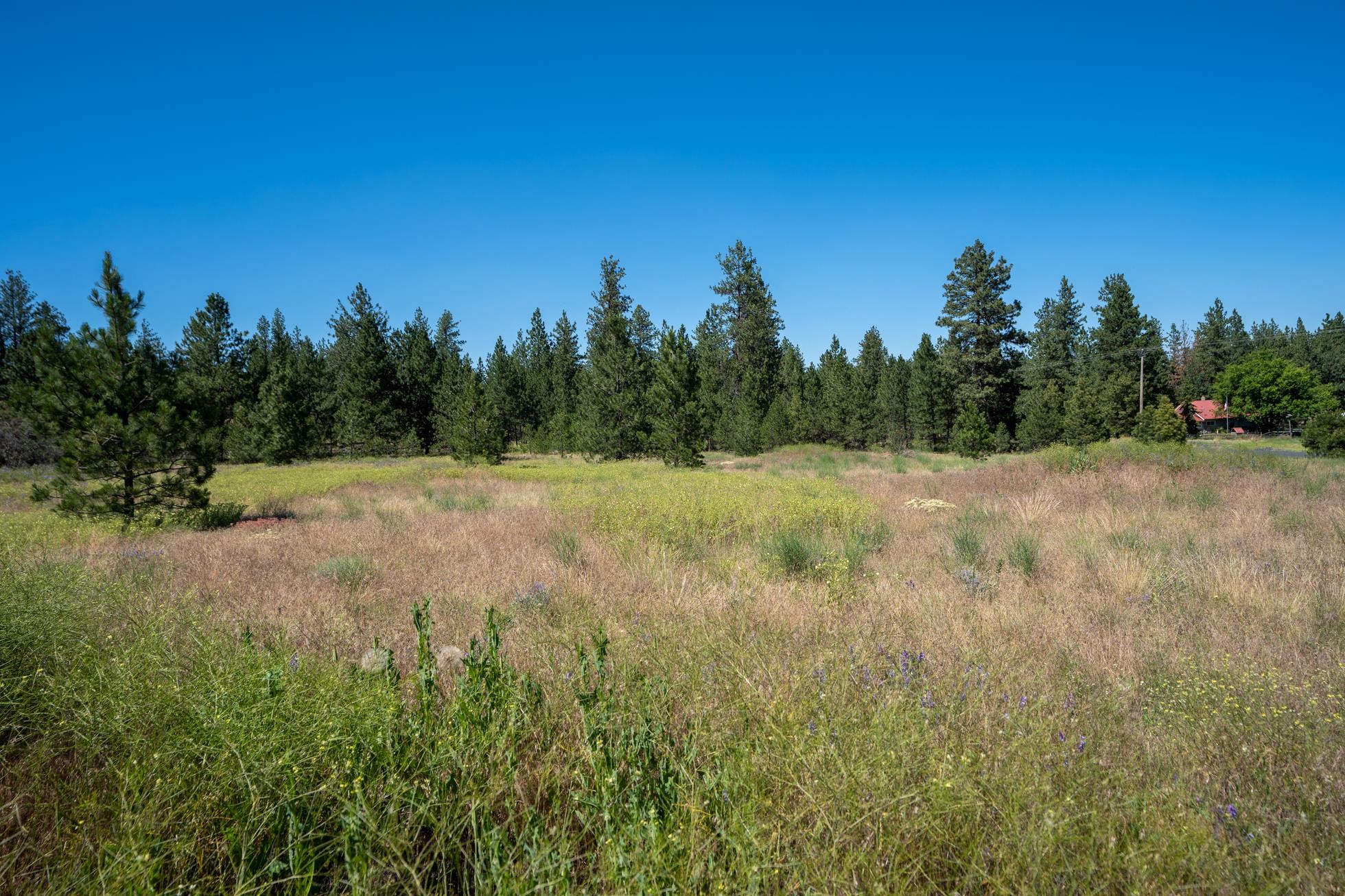 Xxx North Old Trails Road Spokane, WA 99224 - Photo 15 of 16 Gallery Image 15