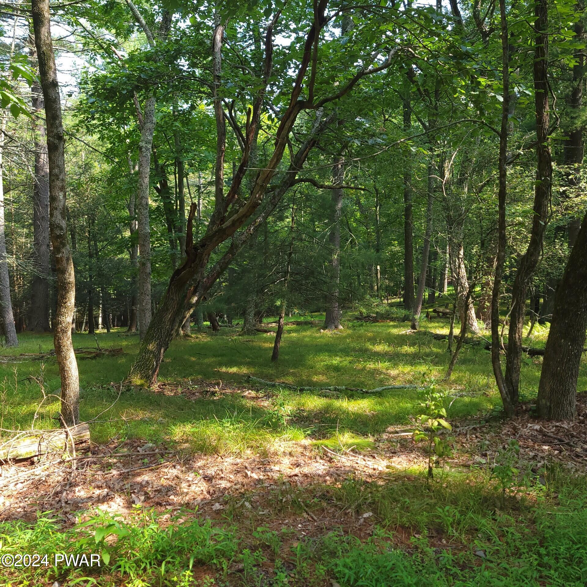 Lot 35 Pine Tree Road Gouldsboro, PA 18424 - Photo 3 of 8