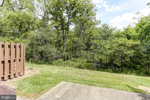 a view of a backyard with large trees