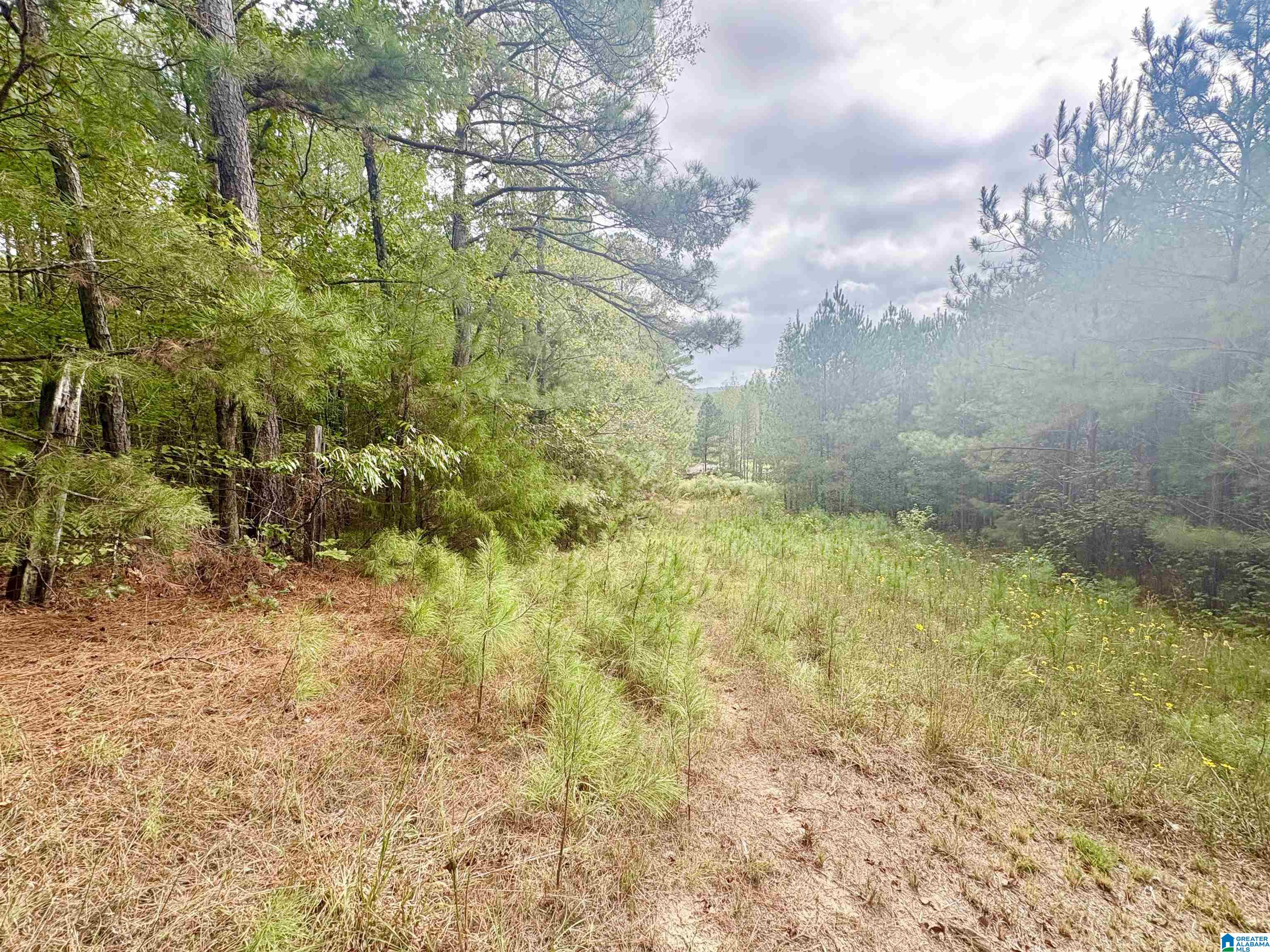 55 Honeycutt Road, Unit 55 Remlap, AL 35133 - Photo 11 of 21