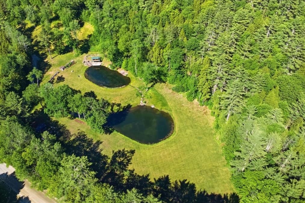 1100 Houghtonville Road Grafton, VT 05146 - Photo 31 of 50