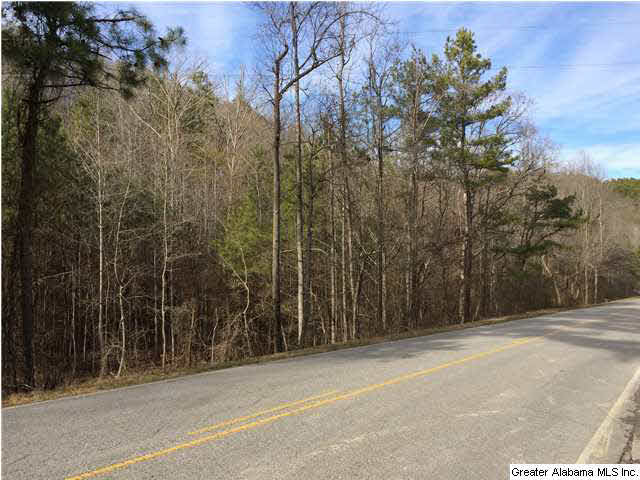 734 Valley Grove Road, Unit 15 4 ACR Remlap, AL 35133 - Photo 2 of 32