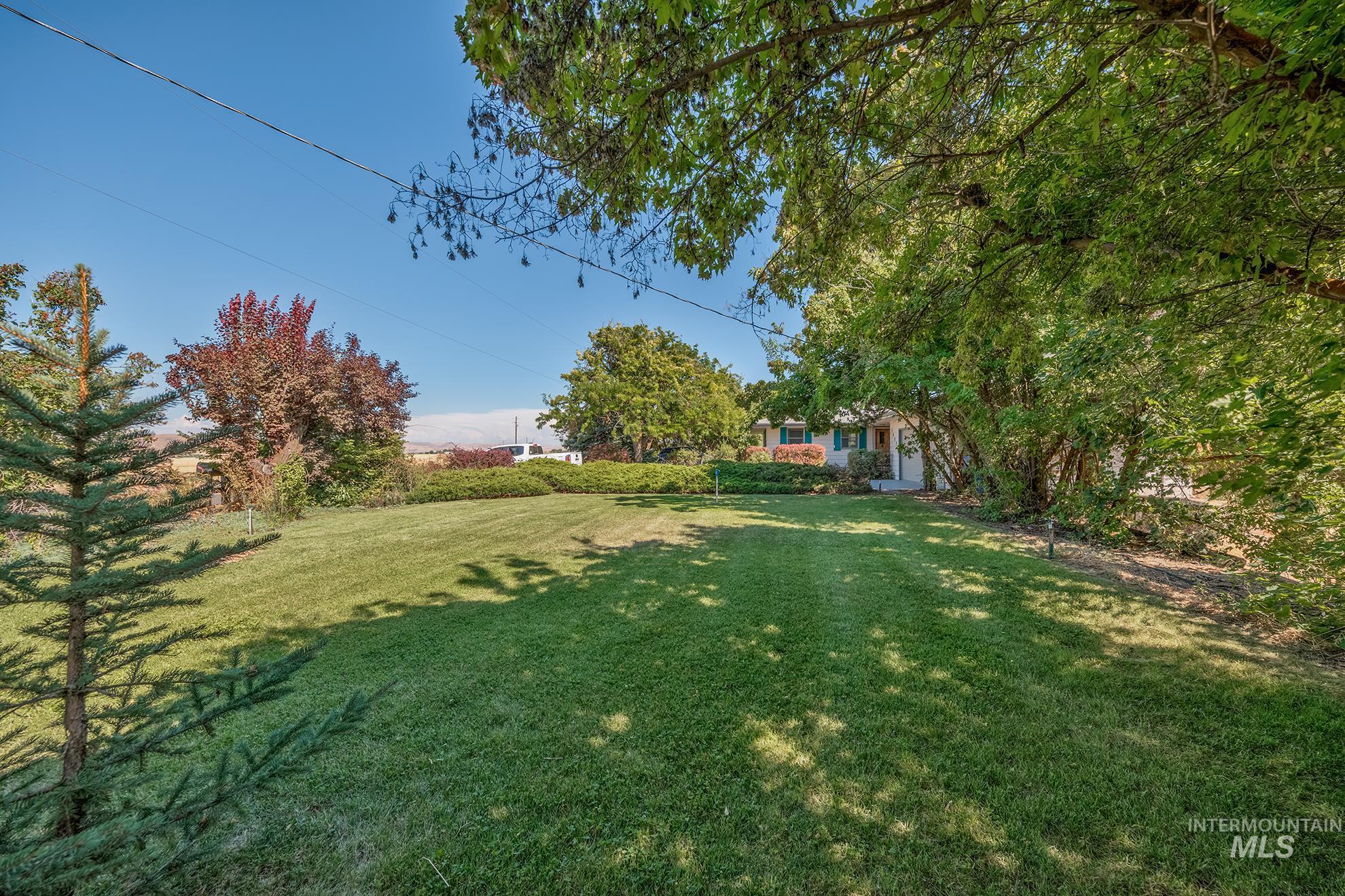 1493 Cove Road Weiser, ID 83672 - Photo 42 of 50 Expansive lawn area with a small evergreen tree in the foreground