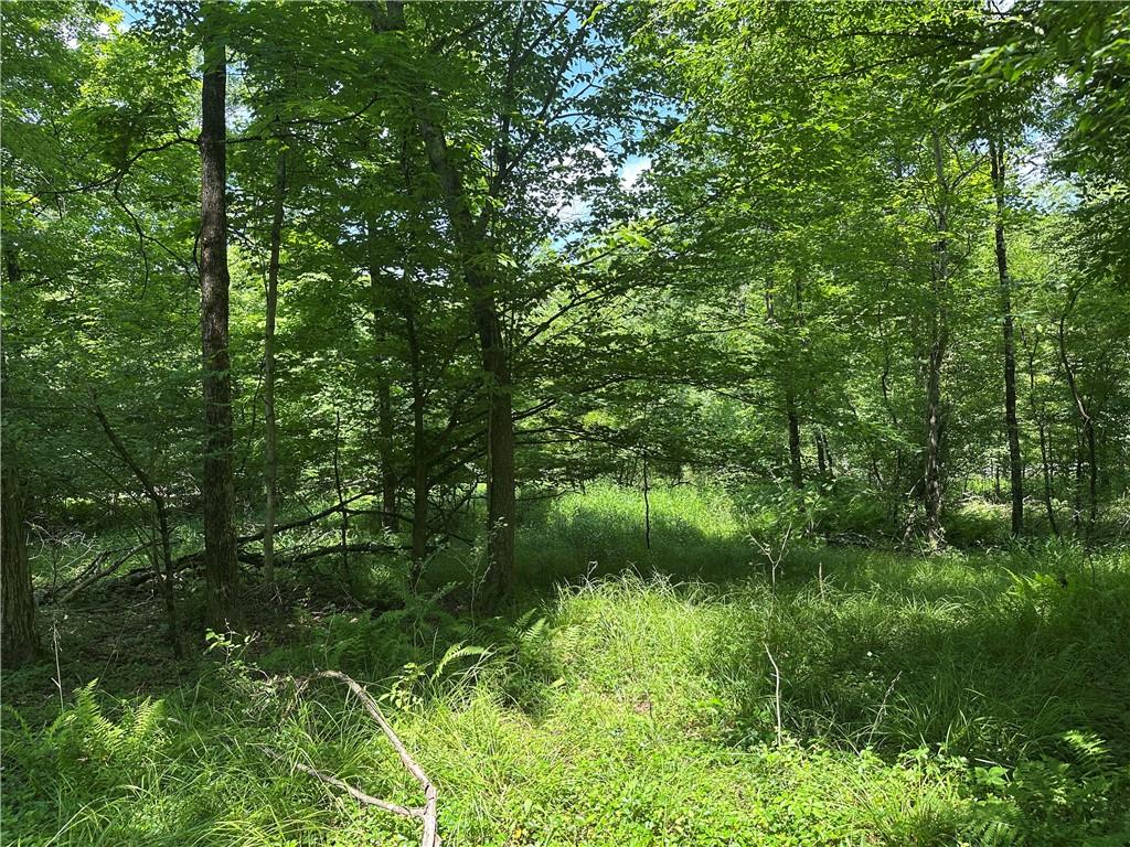 0 Cooperstown Road Cooperstown, PA 16317 - Photo 6 of 23