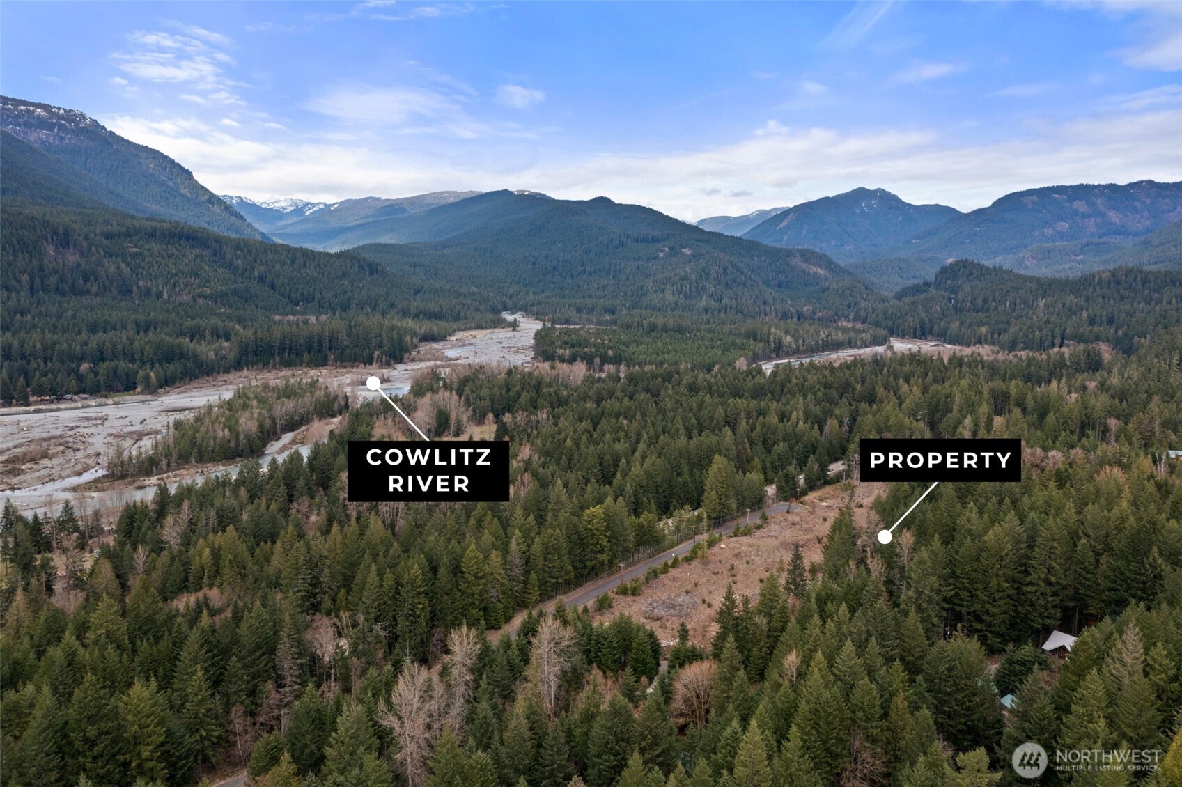 134 Grizzly Road Packwood, WA 98361 - Photo 2 of 11