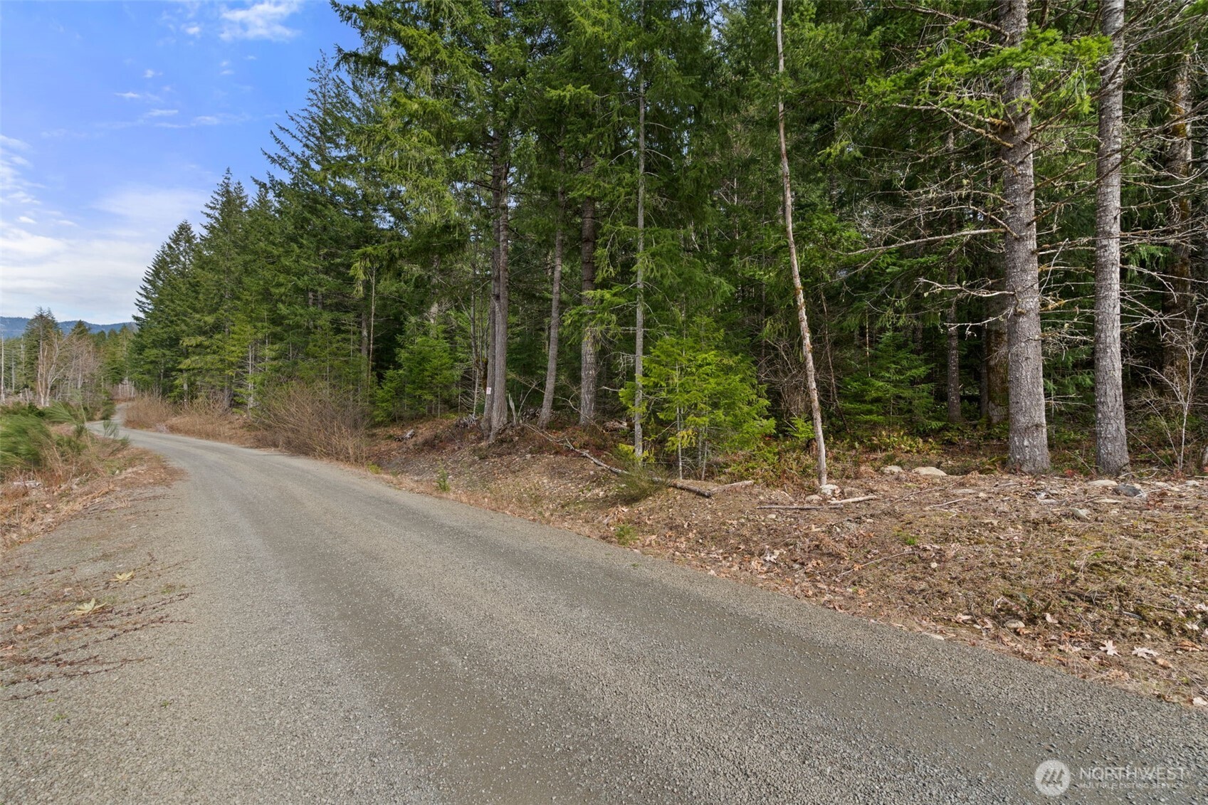 134 Grizzly Road Packwood, WA 98361 - Photo 5 of 11