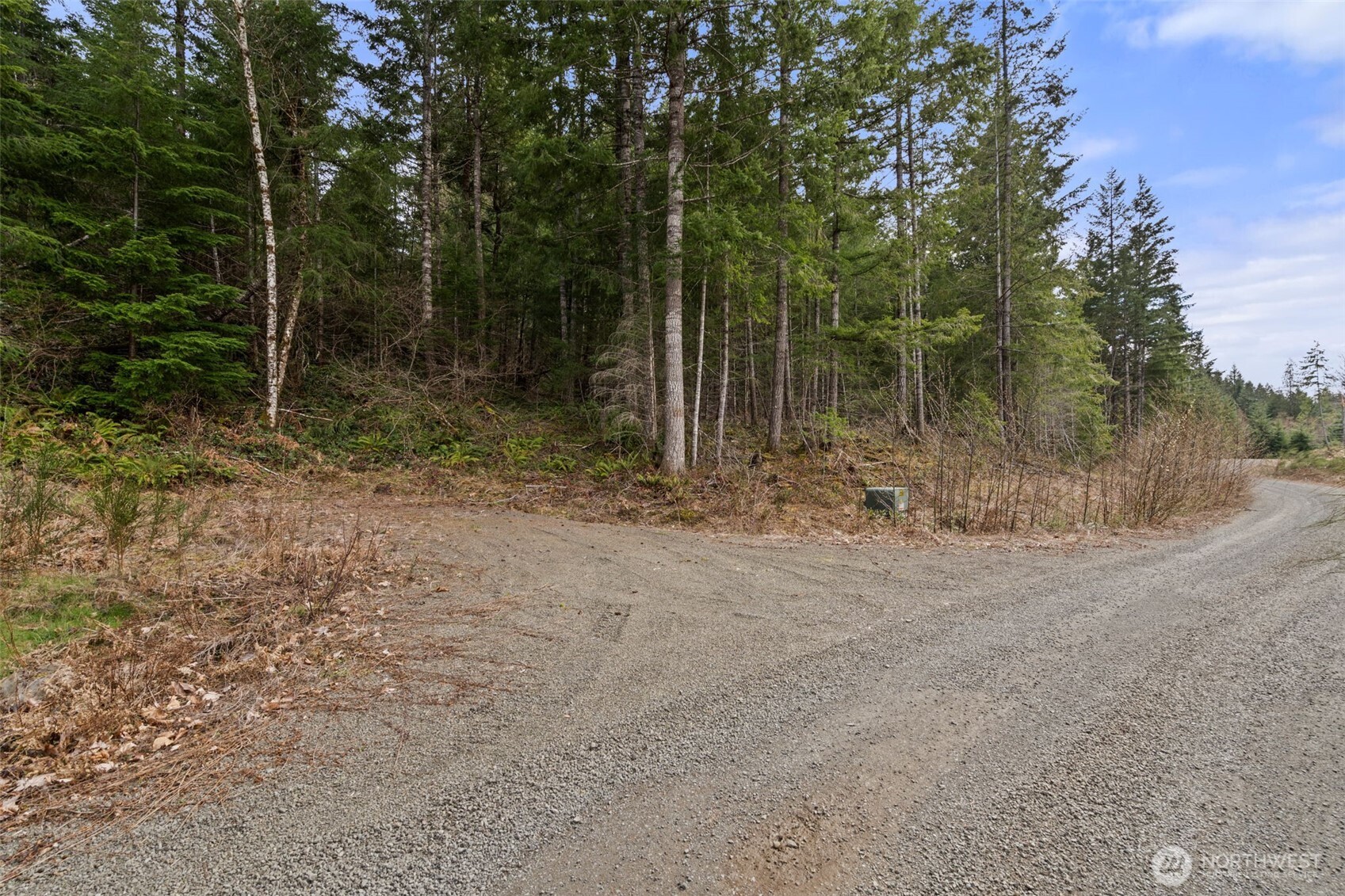 134 Grizzly Road Packwood, WA 98361 - Photo 6 of 11