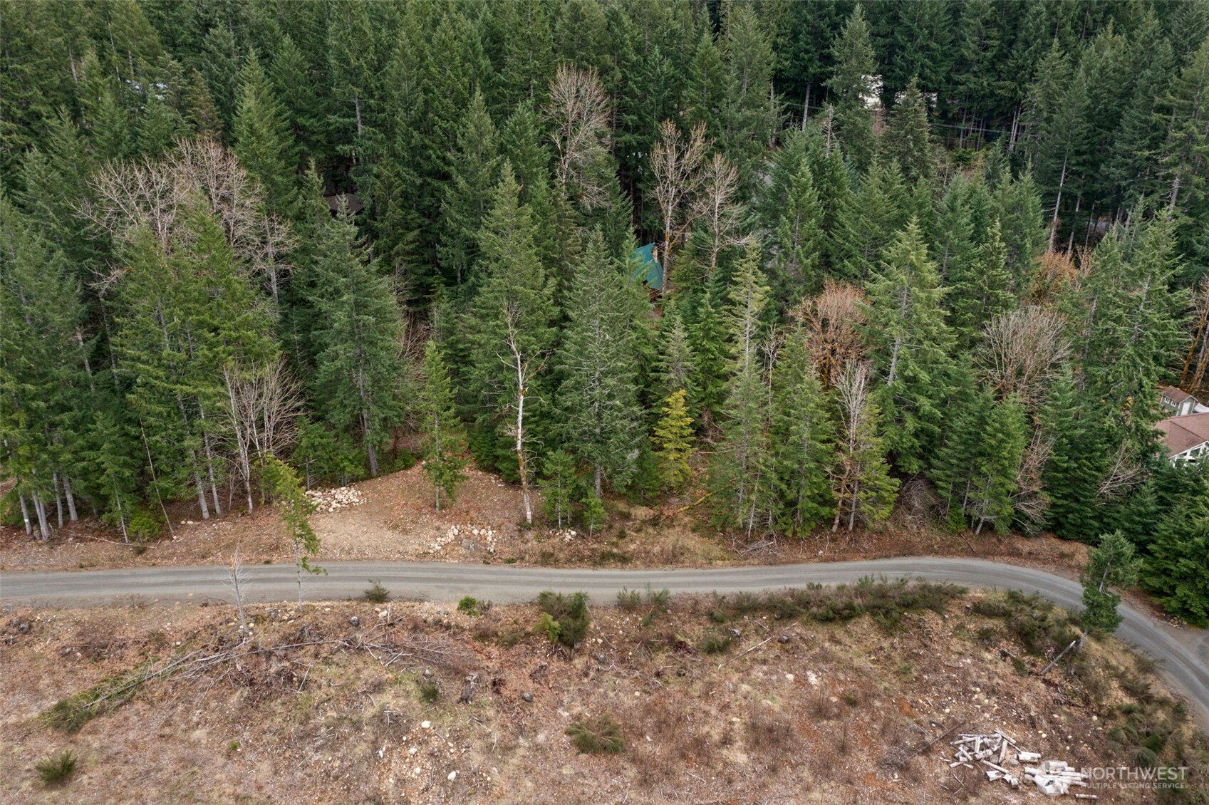 134 Grizzly Road Packwood, WA 98361 - Photo 7 of 11