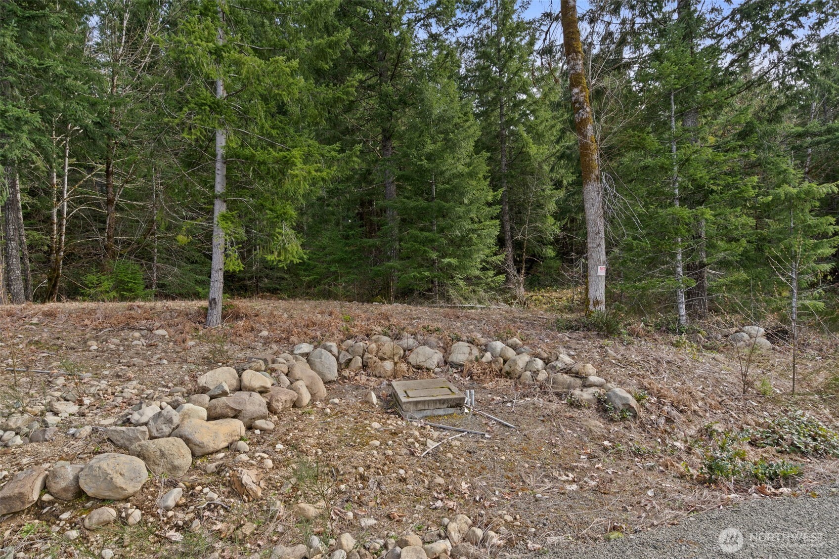 134 Grizzly Road Packwood, WA 98361 - Photo 8 of 11