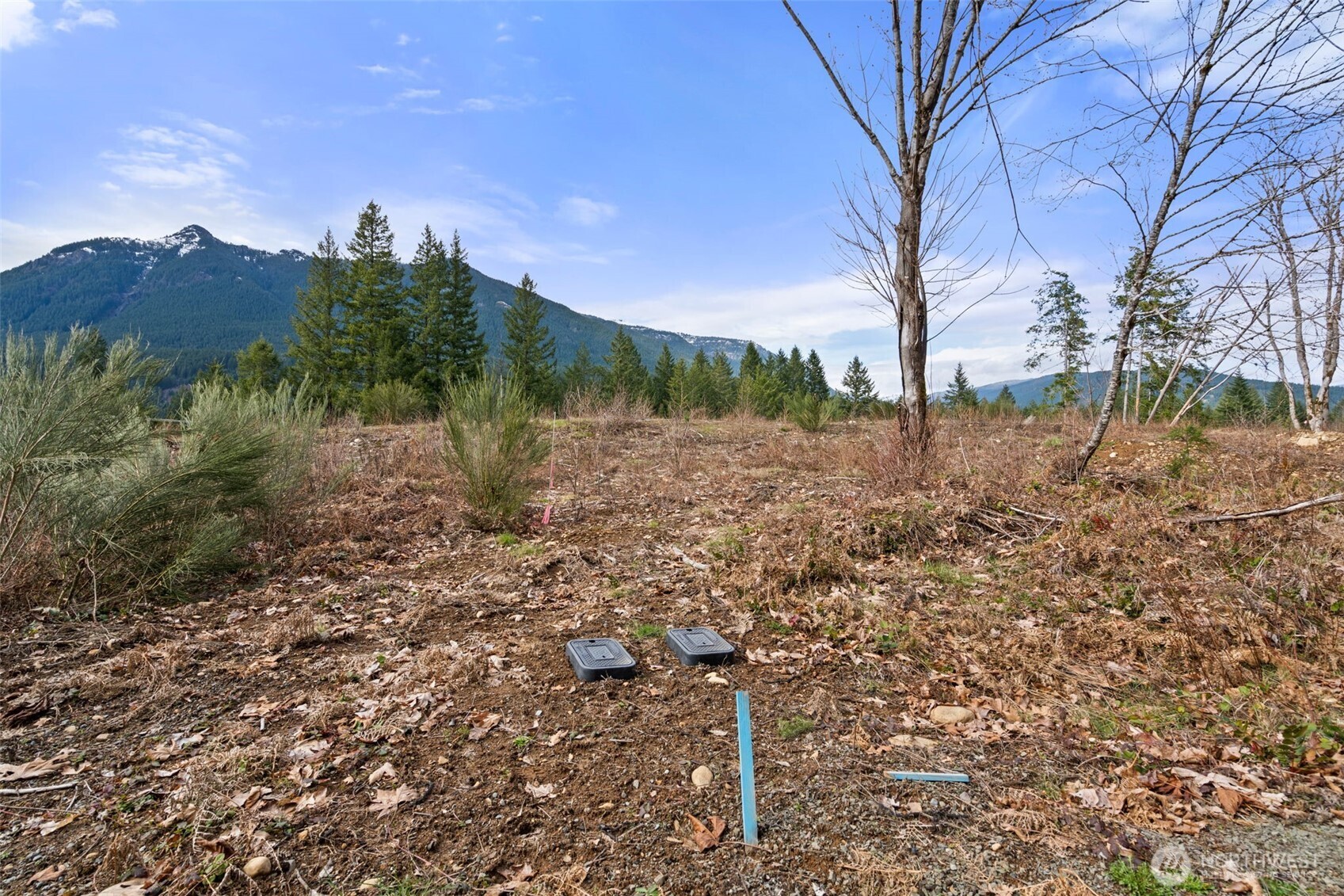 134 Grizzly Road Packwood, WA 98361 - Photo 9 of 11