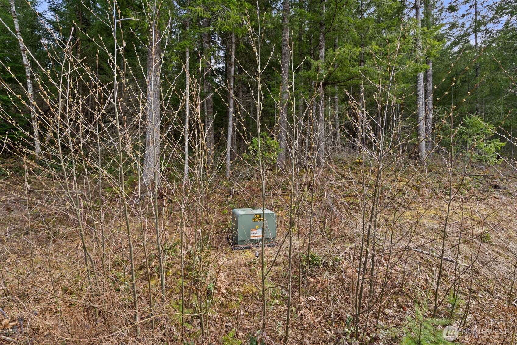 134 Grizzly Road Packwood, WA 98361 - Photo 10 of 11