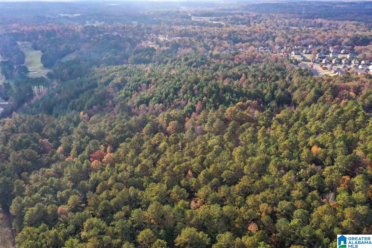 0 County Road 306 Calera, AL 35040 - Photo 1 of 9