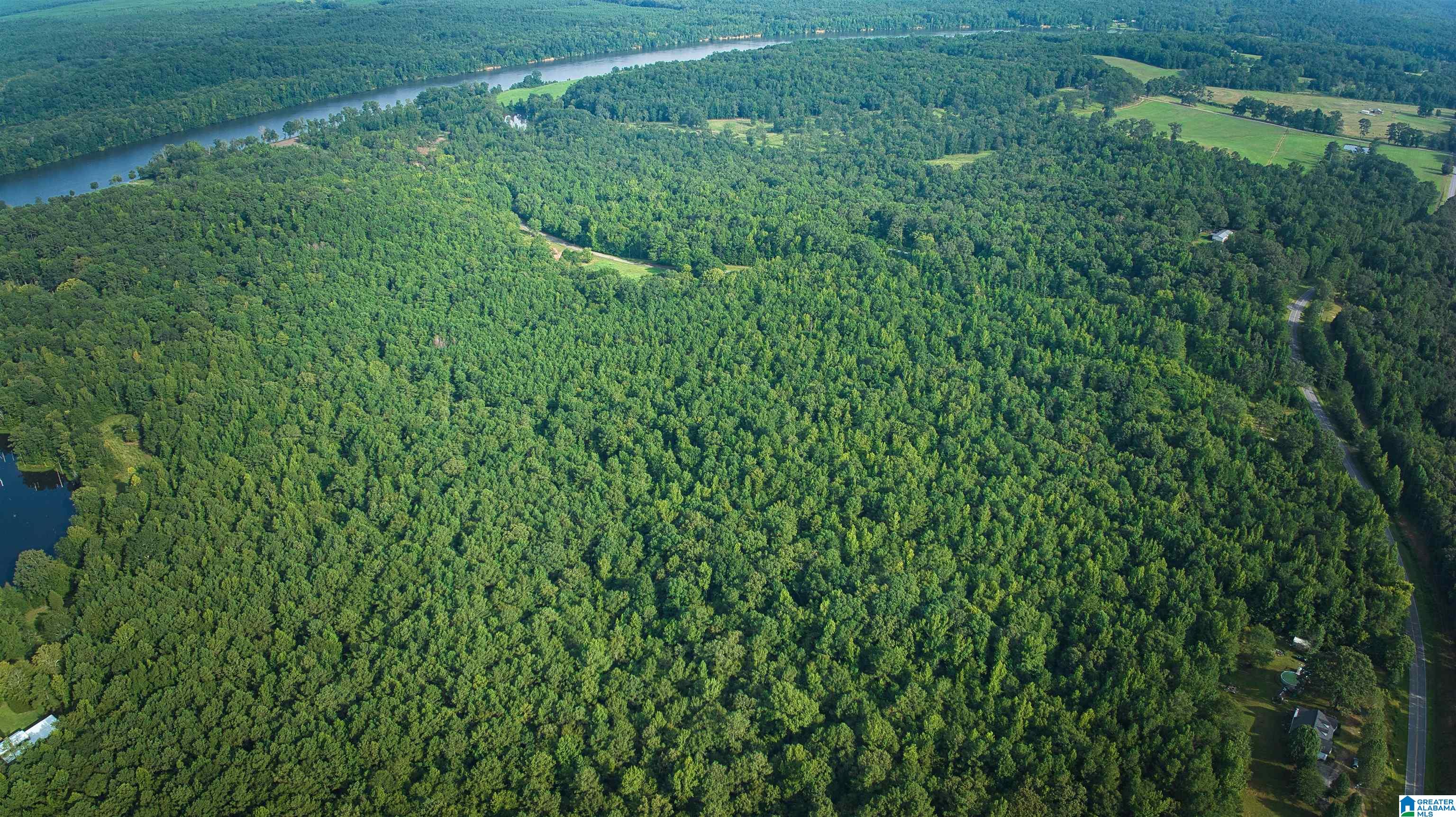 Lot 20 Wester Road, Unit LOT 20 Ragland, AL 35131 - Photo 40 of 68