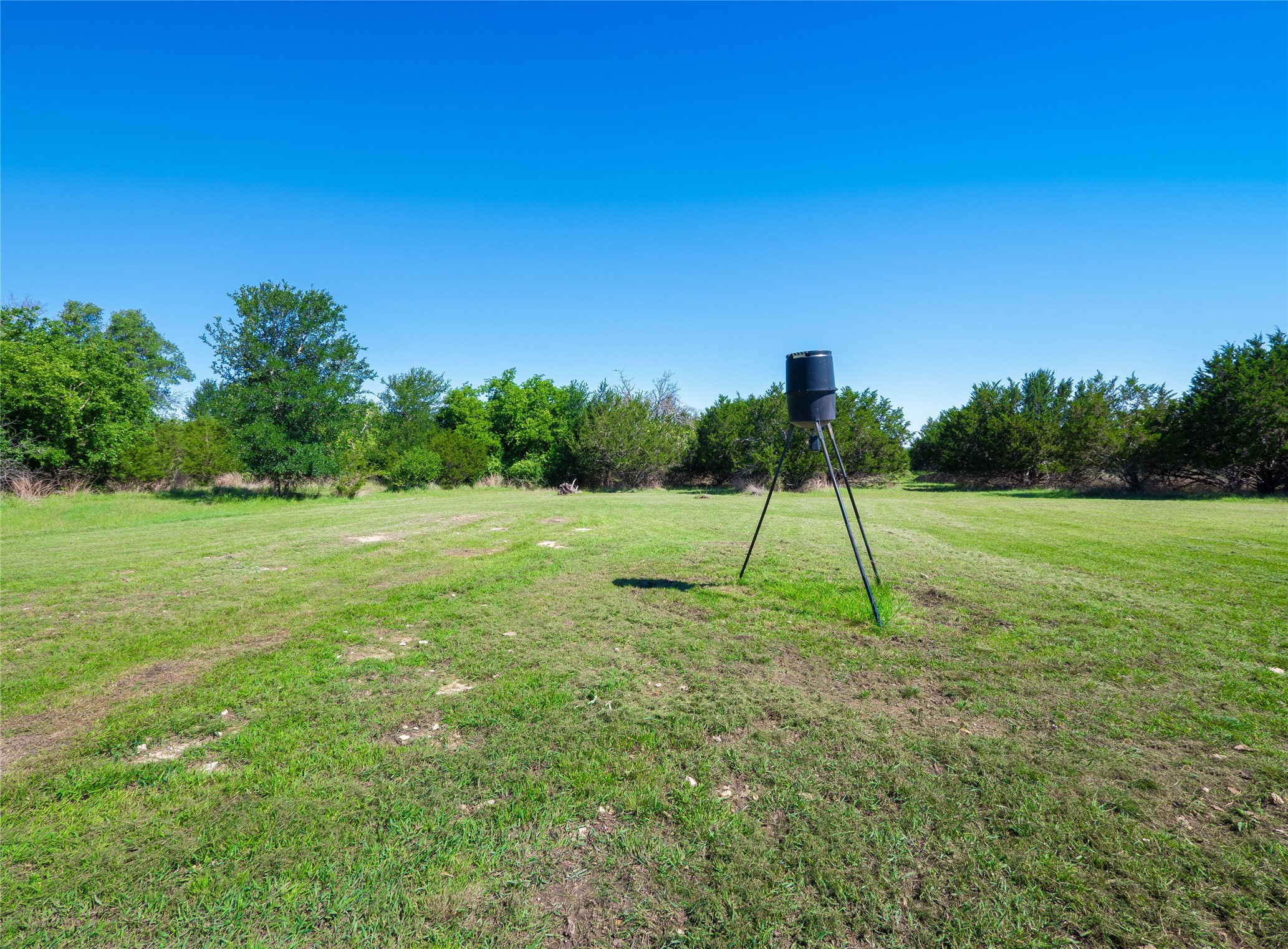 411 Avila Lane Briggs, TX 78608 - Photo 30 of 39 a view of a park