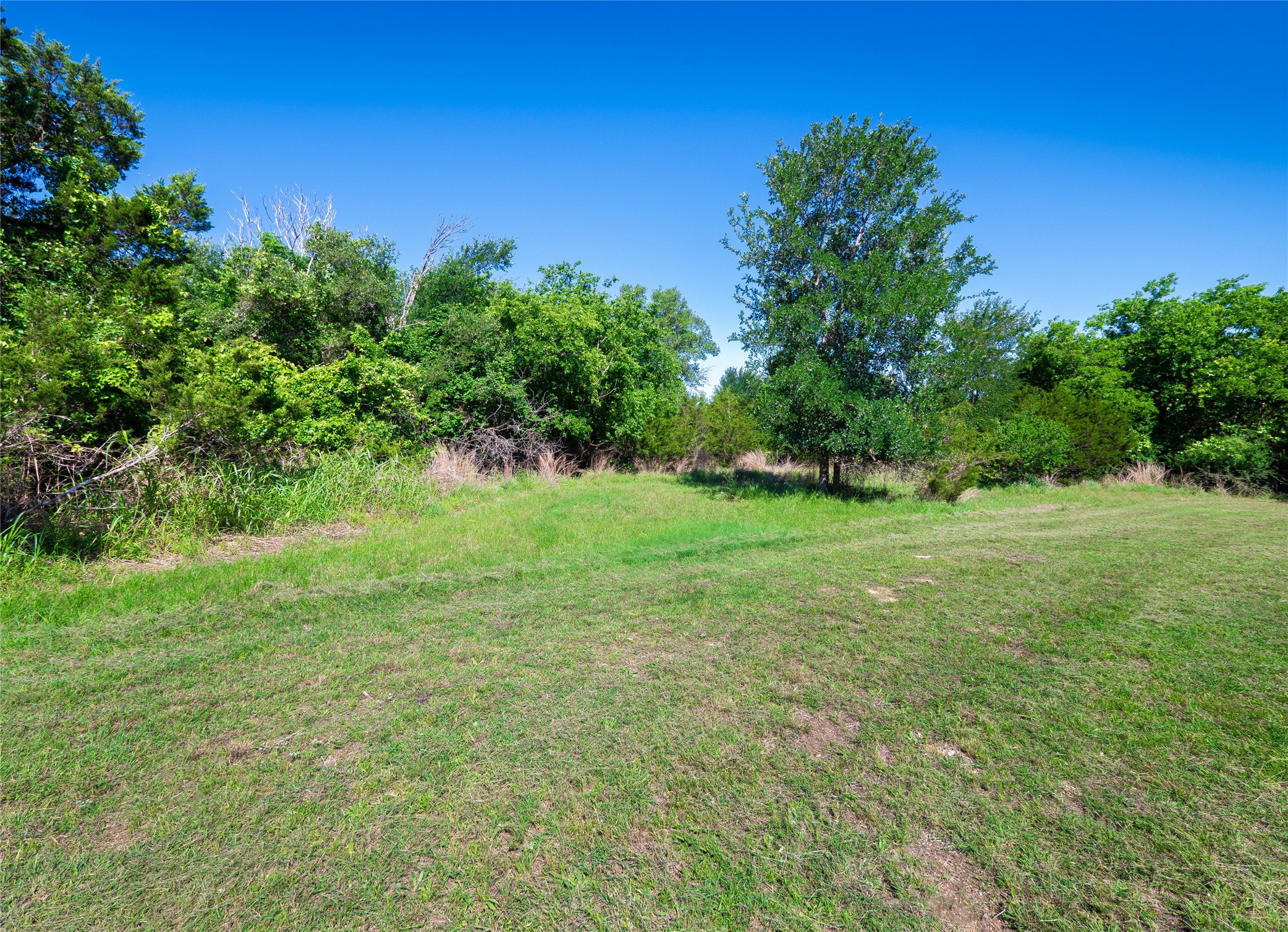 411 Avila Lane Briggs, TX 78608 - Photo 31 of 39 a backyard of a house with lots of green space