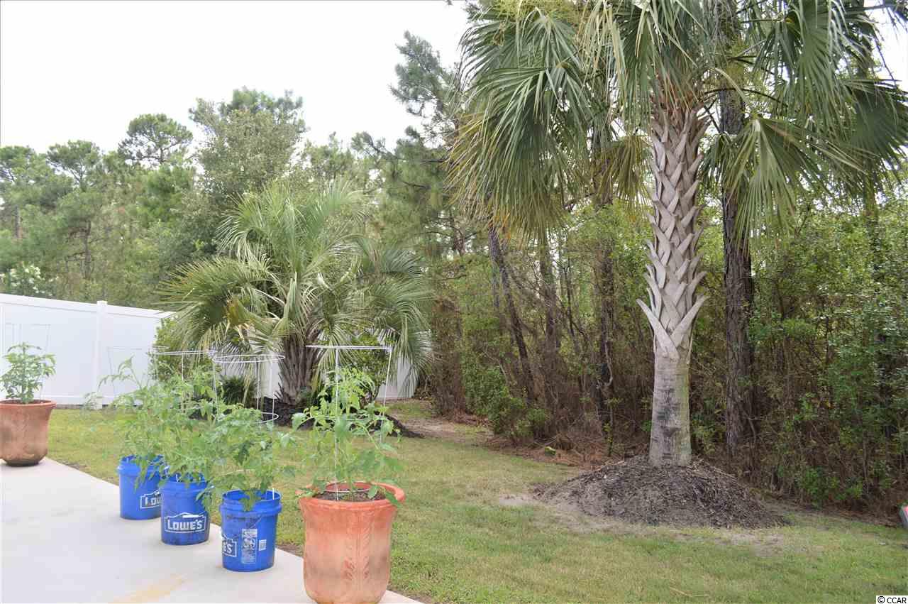567 Tuckahoe Road Myrtle Beach, SC 29579 - Photo 21 of 24 Gallery Image 21