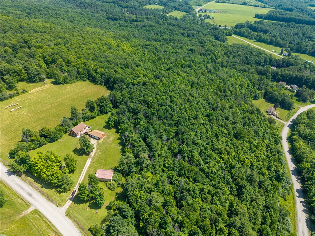 1560 Day Road Dansville, NY 14807 - Photo 50 of 50