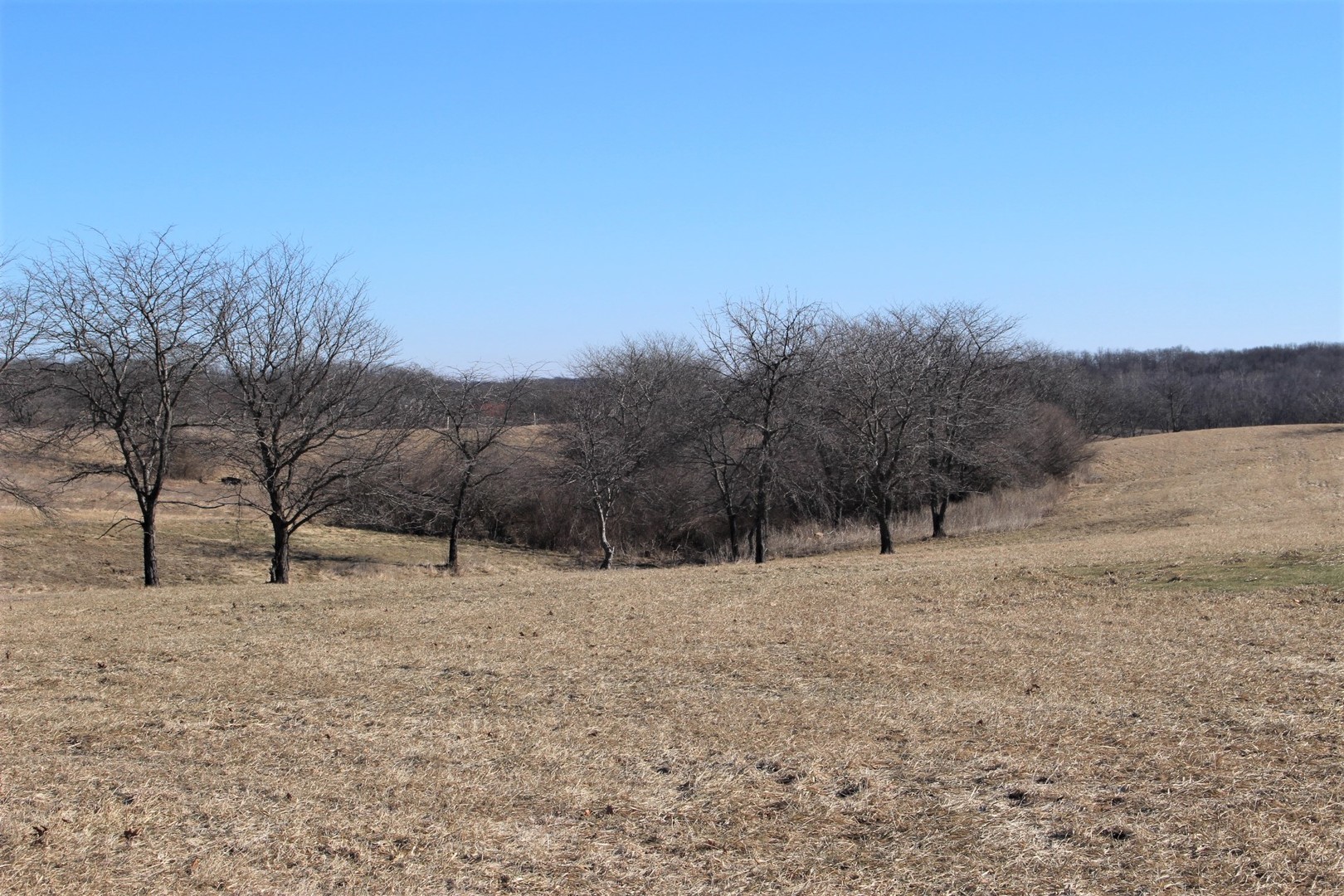 5300 Brush College Road Clinton, IL 61727 - Photo 4 of 5