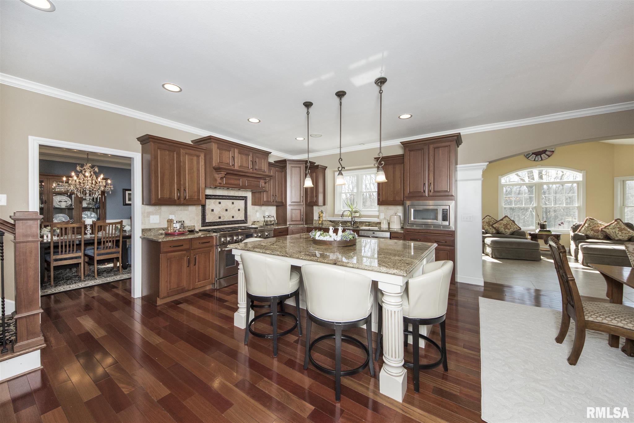 919 Copperpoint Drive Dunlap, IL 61525 - Photo 8 of 50
