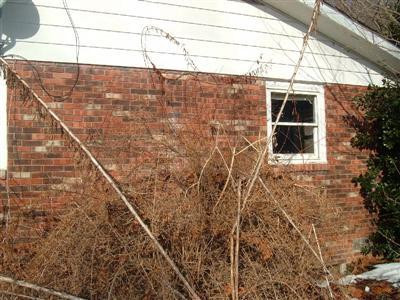 2120 Bluebank-Ramey School Road Morehead, KY 40351 - Photo 4 of 16 Photo 4