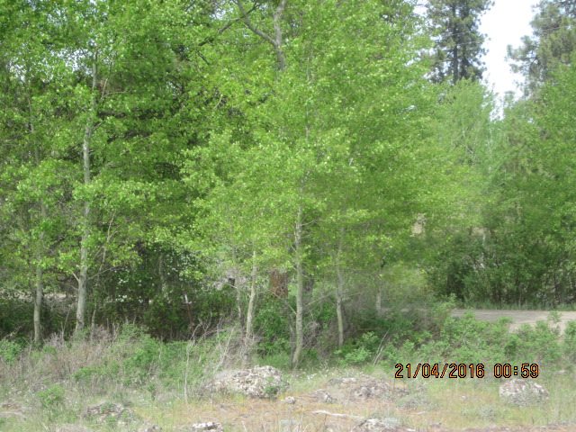 19706 South Harrison Road Edwall, WA 99008 - Photo 2 of 9